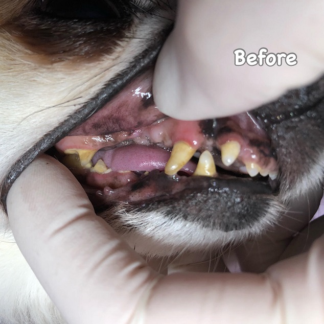 Before Before