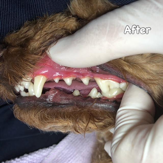 After After