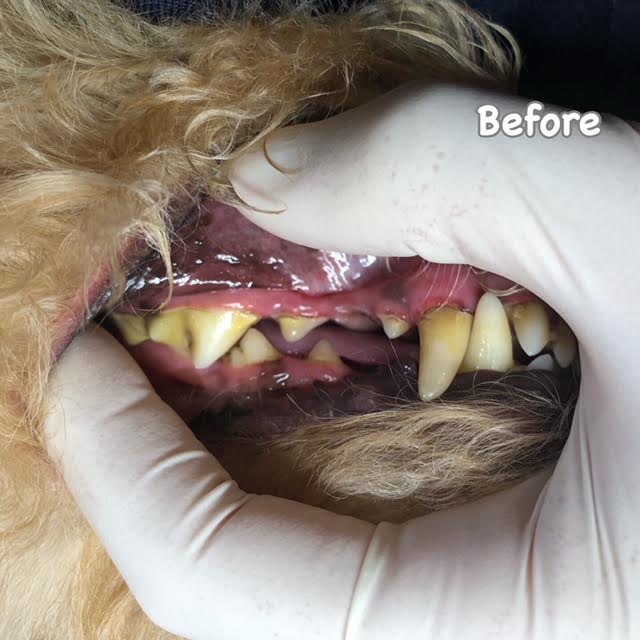 Before Before