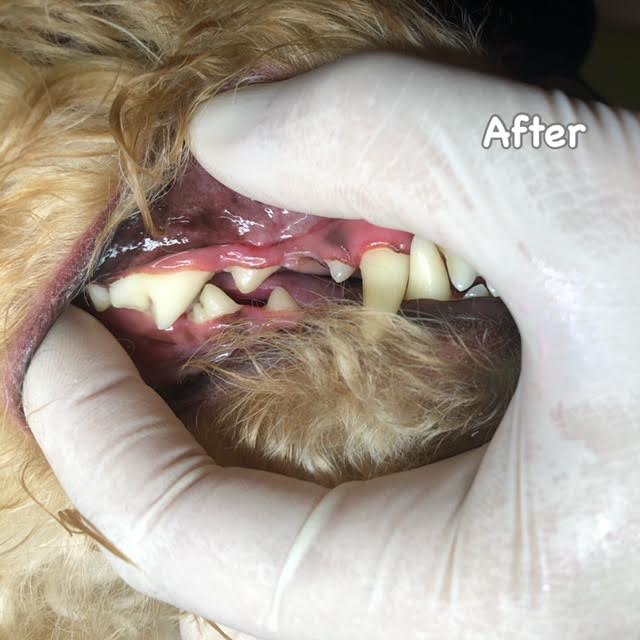 After After
