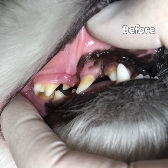 Before Before