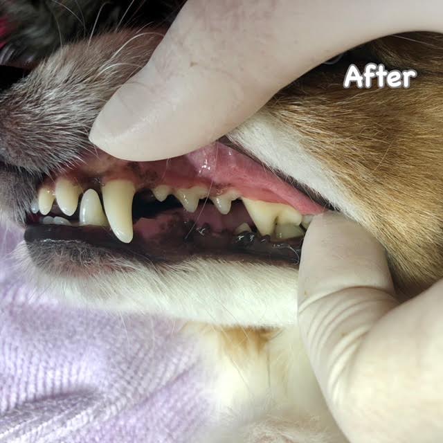 After After