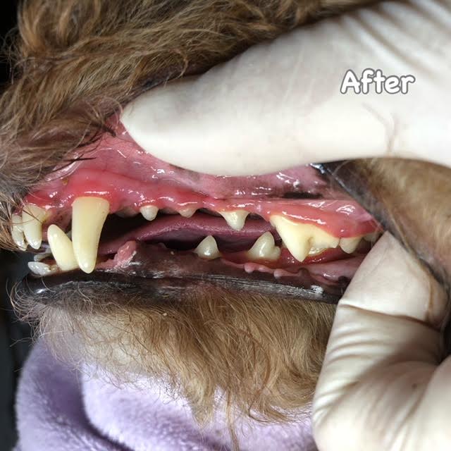 After After