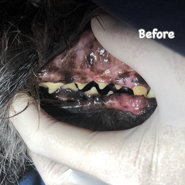Before Before