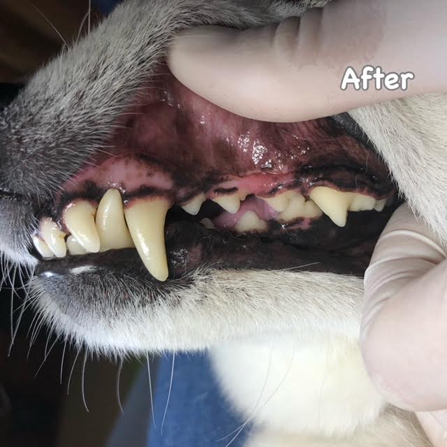 After After