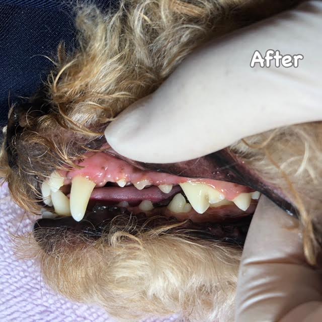 After After