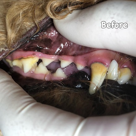Before Before