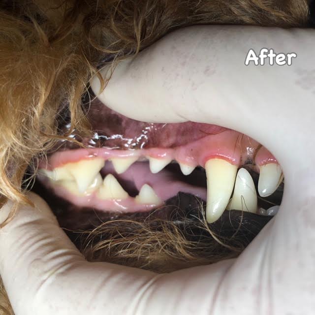 After After