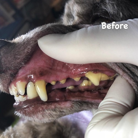 Before Before