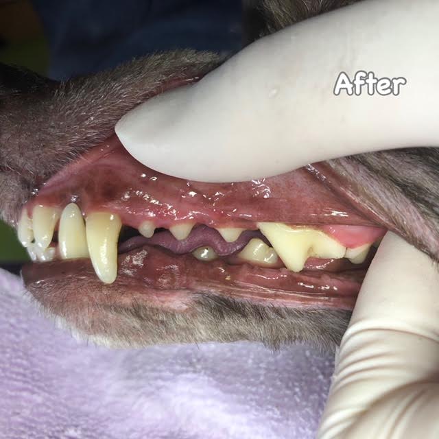 After After