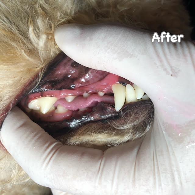 After After