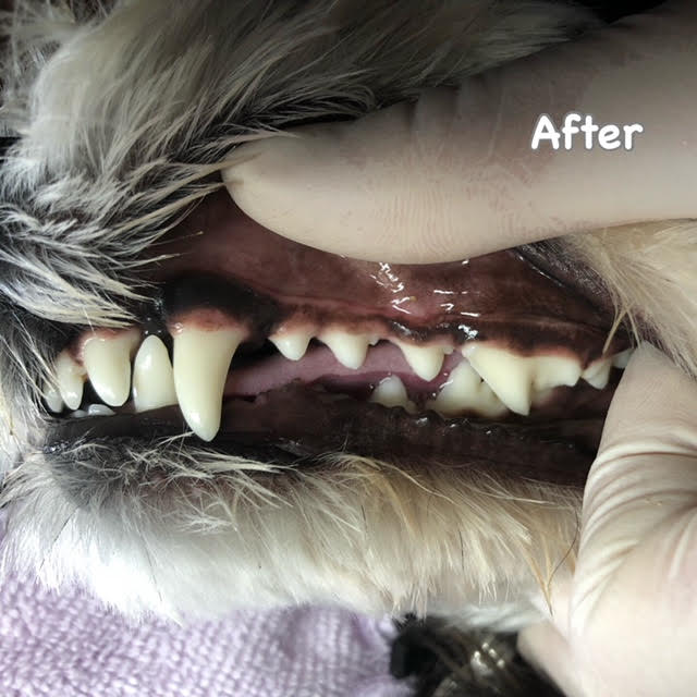 After After