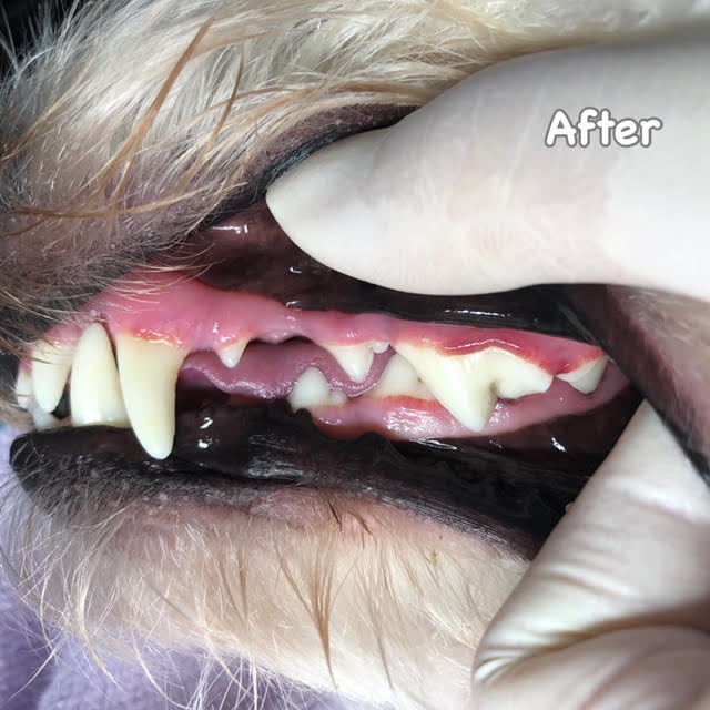 After After