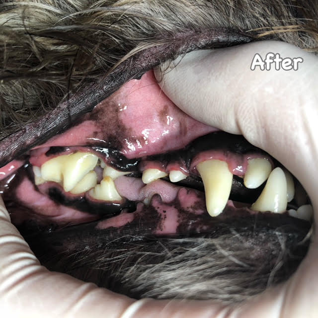 After After