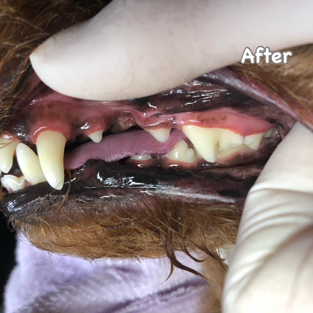 After After