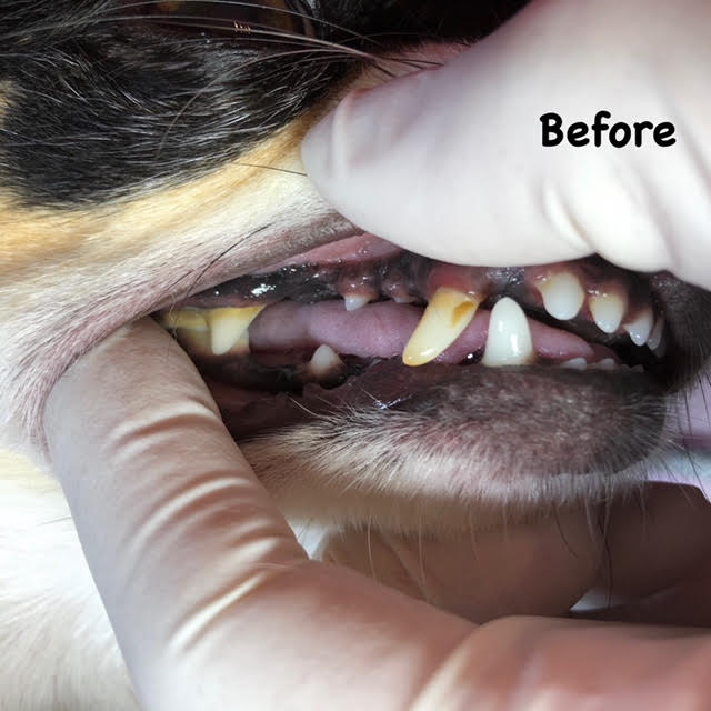 Before Before