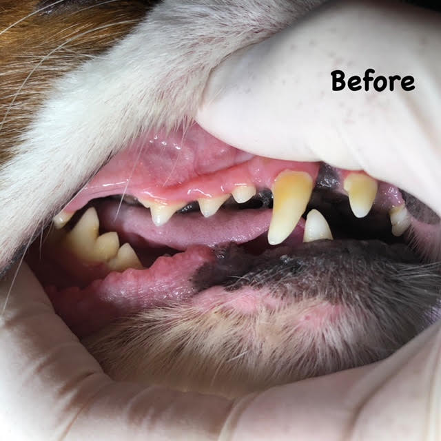 Before Before