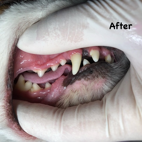 After After