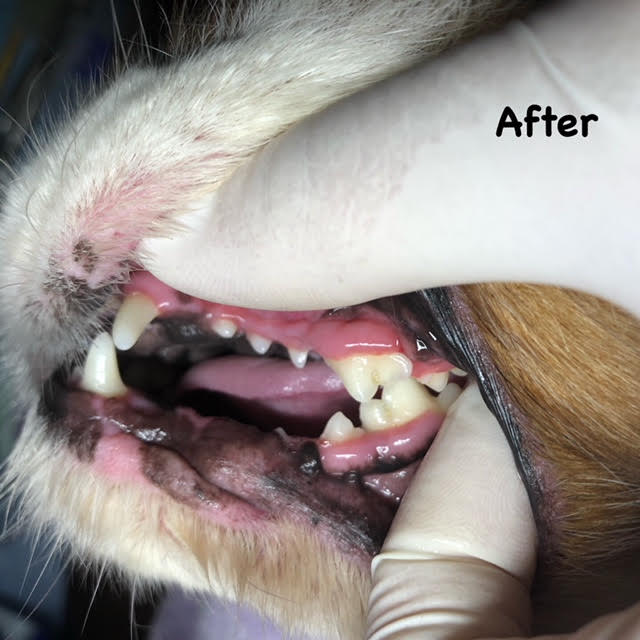 After After