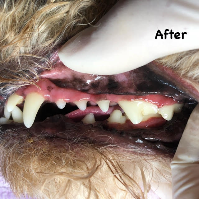 After After