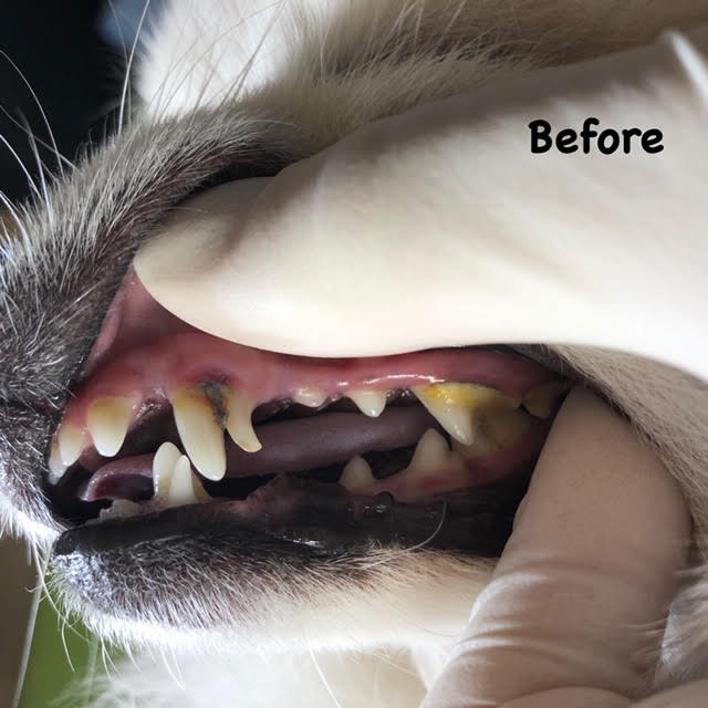 Before Before