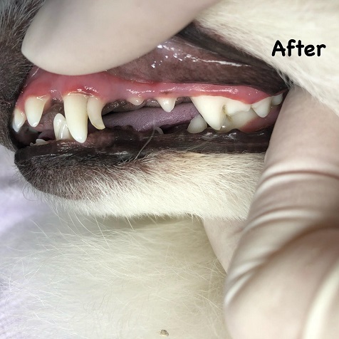 After After