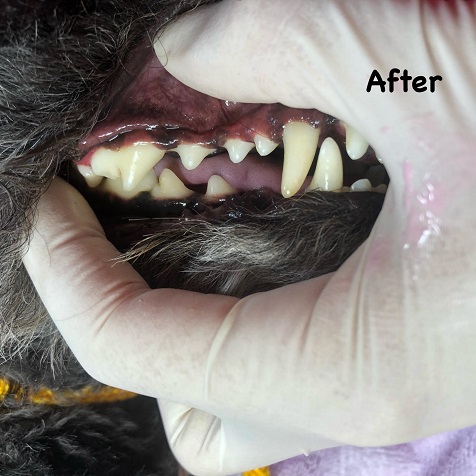 After After