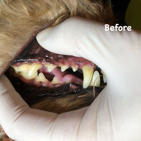 Before Before