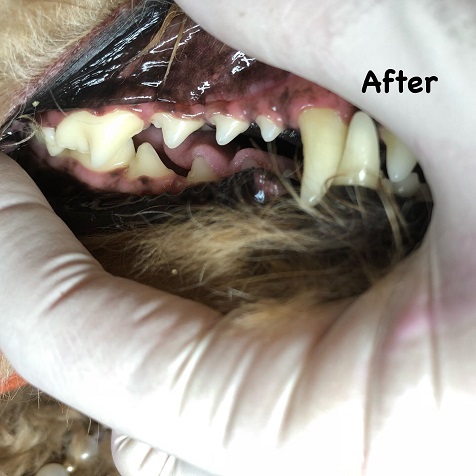 After After