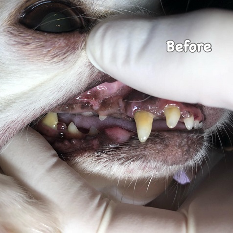 Before Before