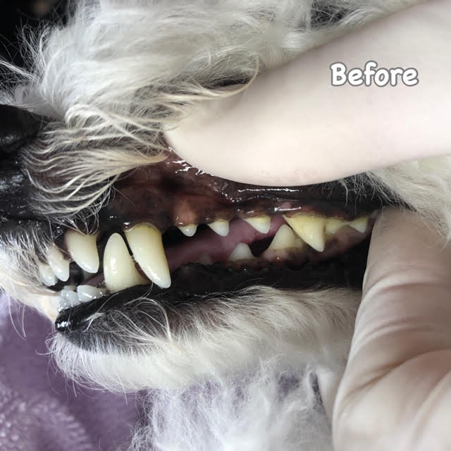 Before Before