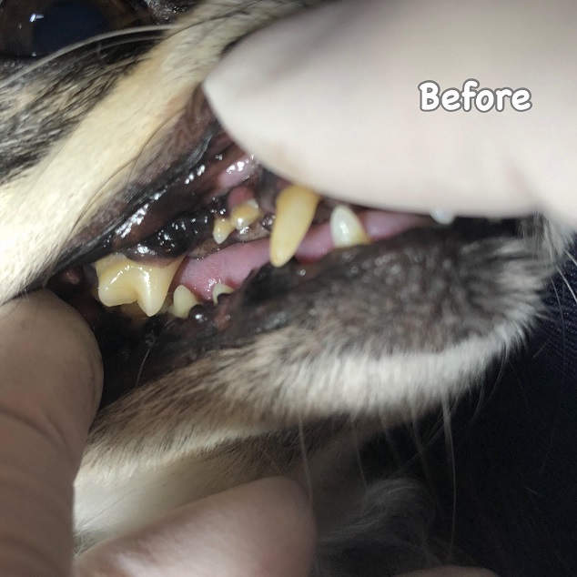 Before Before