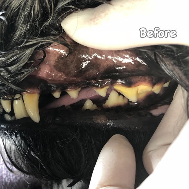 Before Before