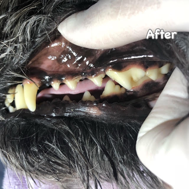 After After