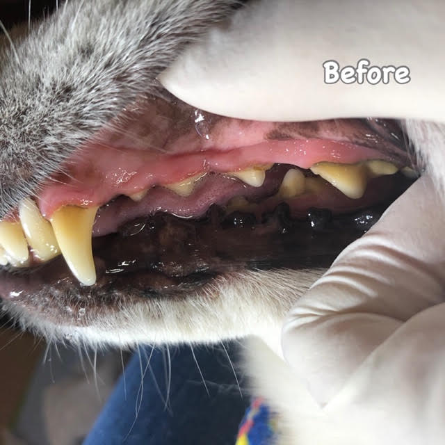 Before Before