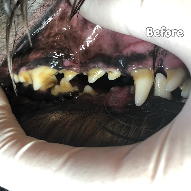 Before Before