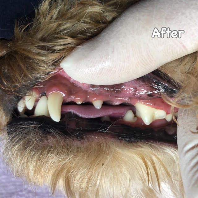 After After
