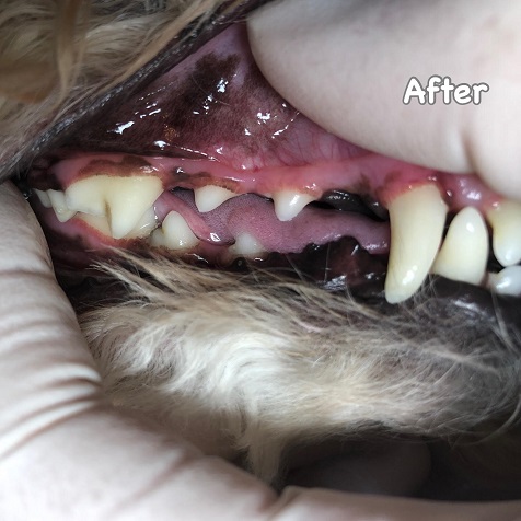After After