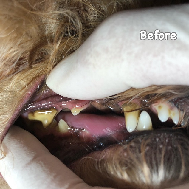 Before Before