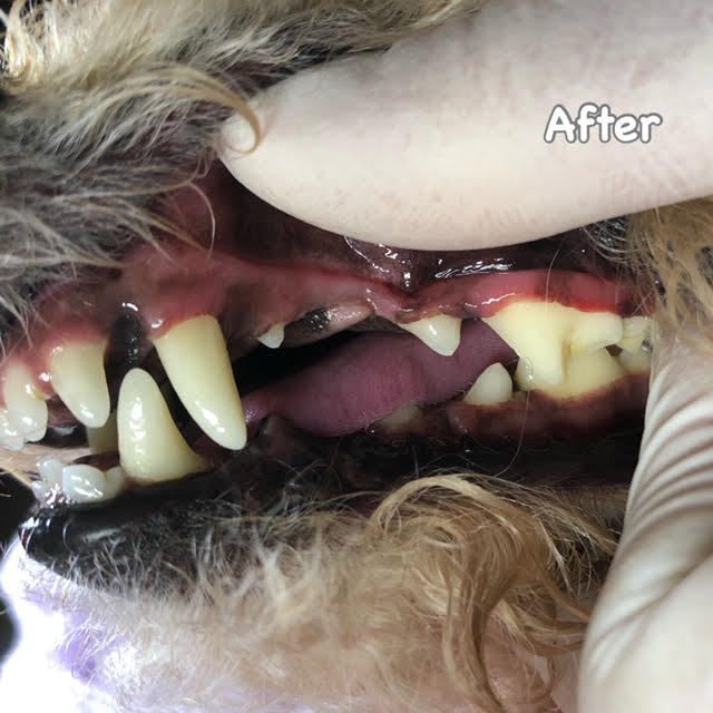 After After