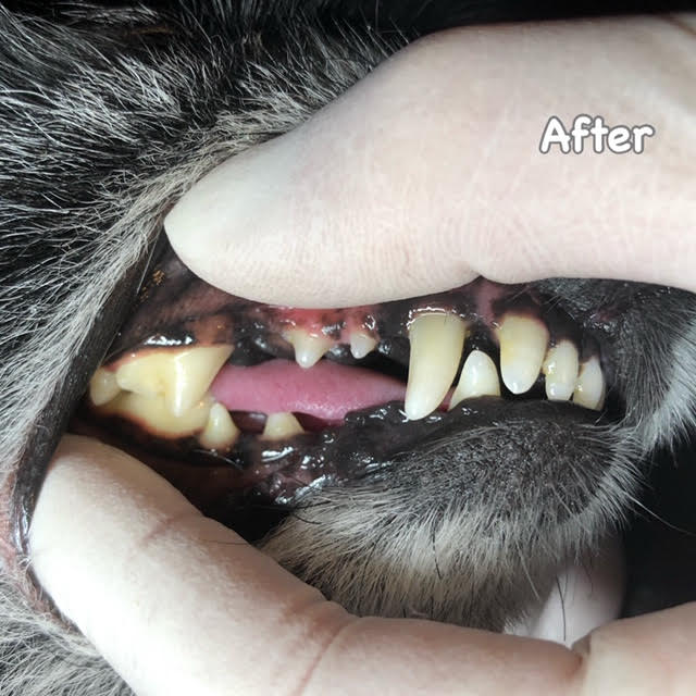 After After