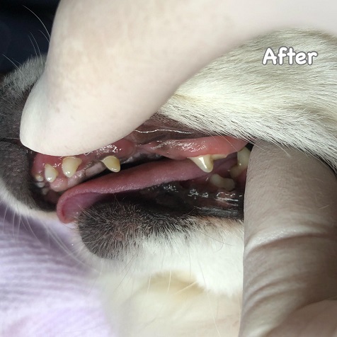 After After