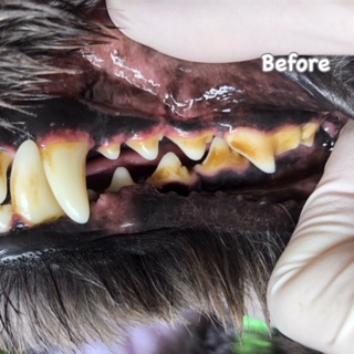 Before Before