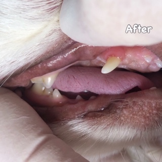 After After