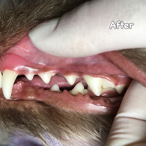 After After
