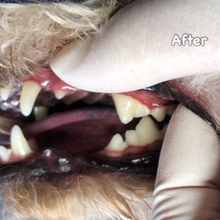 After After