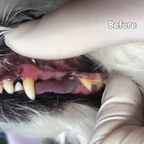 Before Before