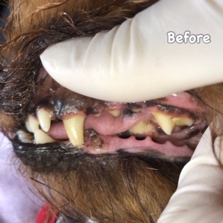Before Before