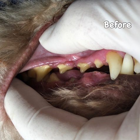 Before Before