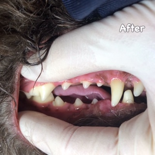 After After